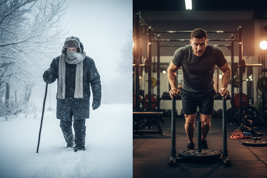 Panax Ginseng: Adaptogenic Stamina for COPD Winter & Athlete Stress